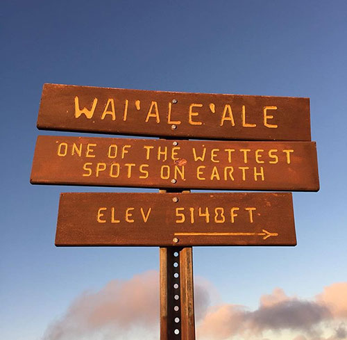 Mt. Waialeale sign in Kokee - Alakai Swamp Trail