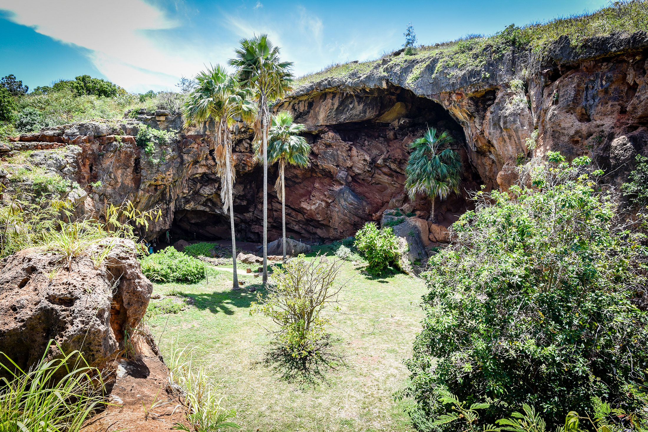 Makauwahi Cave in Poipu – An Indiana Jones Type of Adventure